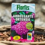 Flortis – boja za hortenzije ( roza ) – gnojivo za biljke | Hortiqa