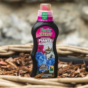 Gnojivo Energy Acidofil 505 g – gnojivo za biljke | Hortiqa