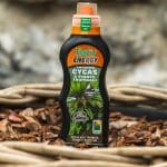 Gnojivo Energy za palme 500 g – gnojivo za biljke | Hortiqa