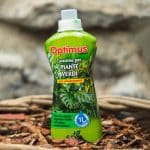 Tekuće Gnojivo 1 L – Za Zeleno i Lisnato Bilje – gnojivo za biljke | Hortiqa