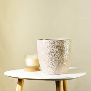 Sobna tegla ‘bež’ – 16,5cm – keramička tegla za sobne biljke | Hortiqa