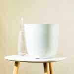 Sobna tegla ‘Palermo’ – 22 cm – plastična tegla za sobne biljke | Hortiqa